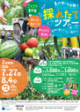 ７月２７日　採れたてツアー