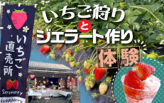 【収穫体験プラン】 いちご狩りとジェラートづくり 第3弾 《4月~5月》