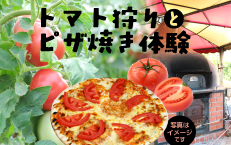 【収穫体験プラン】 トマト狩りと石窯でピザ焼き体験 《6月下旬~7月》