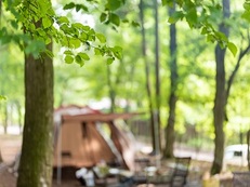 【手ぶらで気軽にディキャンプ体験】~採れたて地元野菜でBBQ&メスティン飯&焚火を囲んで森林浴♪~