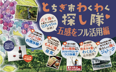 とちぎ市わくわく探し隊 ~パークタワー晴海発着プラン~
