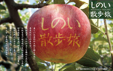 10月11日(日)しのい散歩旅