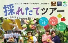 10月17日(土)採れたてが楽しめる♪採れたてツアーin食の祭典
