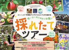 10月17日(土)新鮮!採れたてが楽しめる♪採れたてツアー