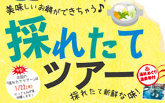 今だけ&ここだけ♪採れたてツアー