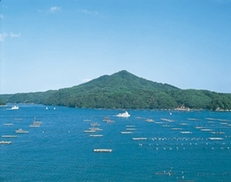 6月10日(土)~6月11日(日)三陸うまいもの旅