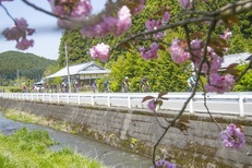 2018年4月21日(土) 荒牧りんご園お花見スポーツバイク サイクリングツアー(初心者向け)