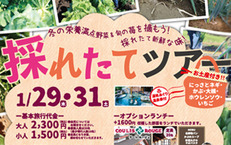 1月29・31日 旬の味覚を楽しむ♪採れたてツアー