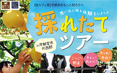 2019年9月16日(月・祝)宮カフェ発♪ 採れたてツアー