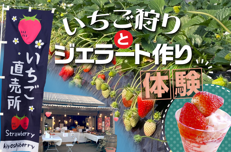 【収穫体験プラン】 いちご狩りとジェラートづくり 第1弾《2月23日~3月7日:栃木県民限定期間》