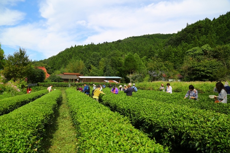 2019年5月25日(土) やみぞ紅茶物語 ♯18