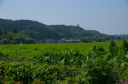 芦野地区の様子