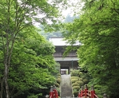 雲巌寺 ~うんがんじ~ から名前をもらった地紅茶