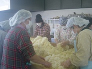 麹菌を混ぜます(1日目工程)