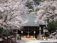 『鷲宮神社』の御朱印は、四季折々の花印がかわいい!のですが、今回は「ツアー限定」の御朱印ですよ♪(画像はイメージ)