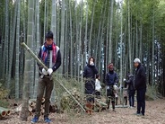 自分たちで竹を切るところから始めます!! ※画像はイメージです。